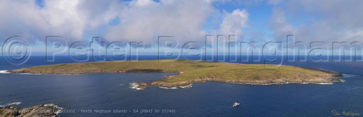 Peter Bellingham Photography North Neptune Islands - SA (PBH3 00 25749)